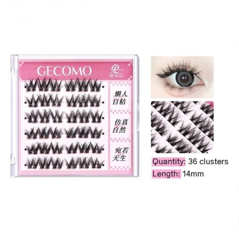 Glueless Eyelashes Box